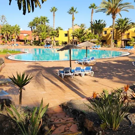 Eternal Summer In Oasis Tamarindo I, Corralejo